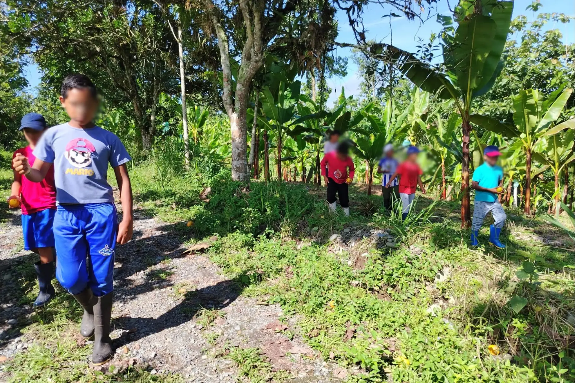 Granja Padre Fink calasanz 06