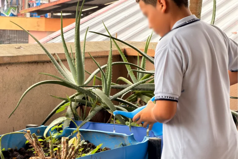 nivelacion escolar calasanz 01