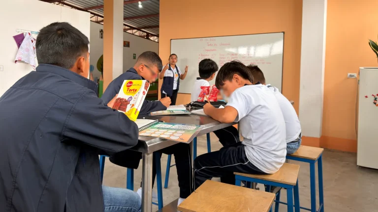 nivelacion y apoyo educativo calasanz